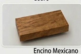 Encino Mexicano