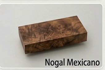 Nogal Mexicano